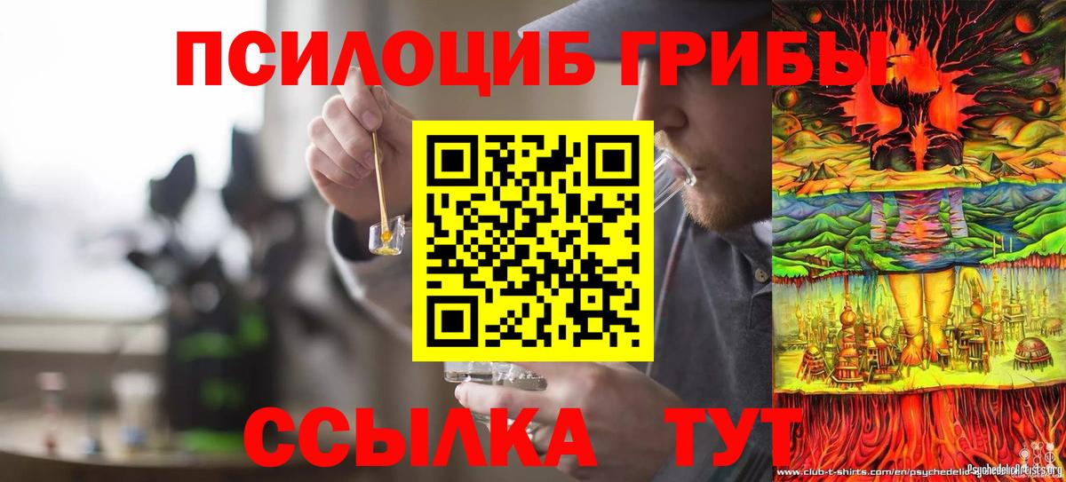 Тайшет  Галлюциногенные грибы MAGIC MUSHROOMS  купить наркотик  Вход с VPN  Галлюциногенные грибы мухоморы 